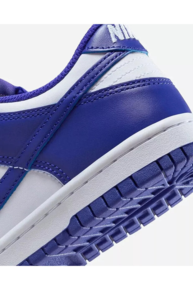 Nike Dunk Low Concord_9