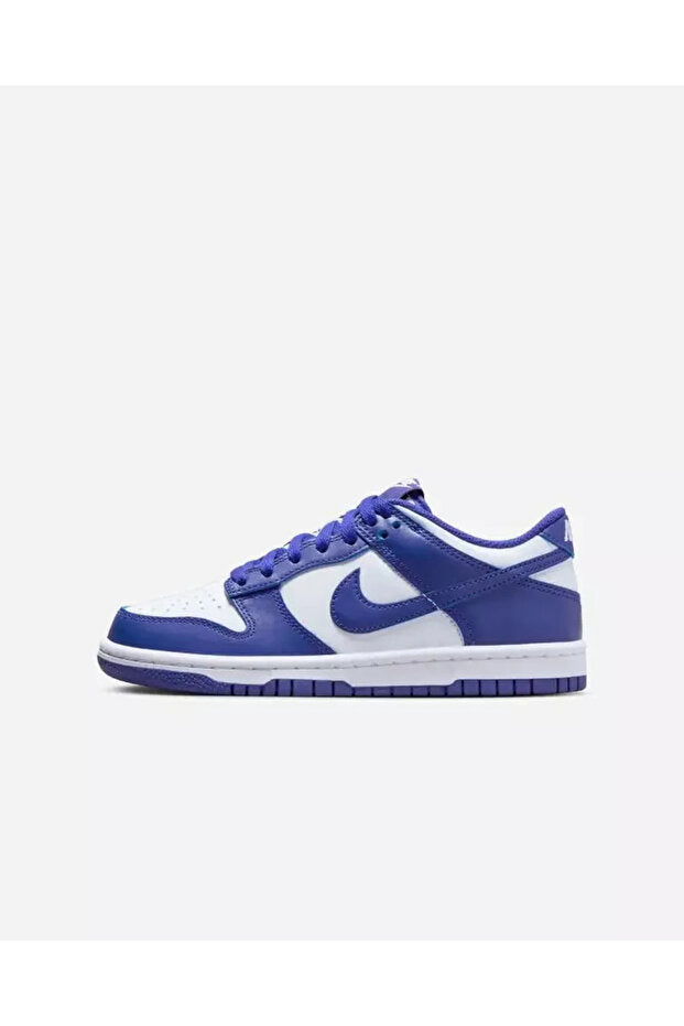 Nike Dunk Low Concord_9