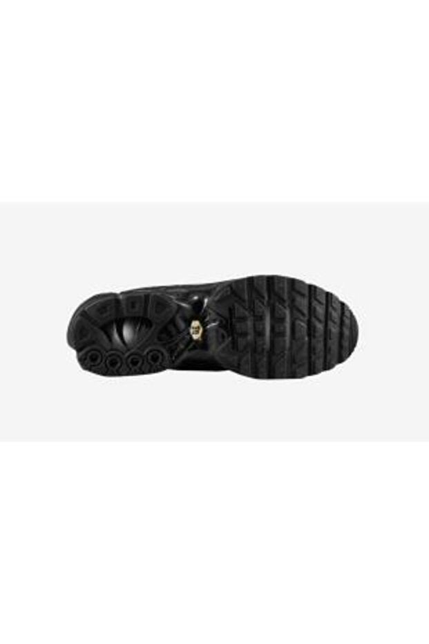 Nike Air Max Plus Tn 1 Black
